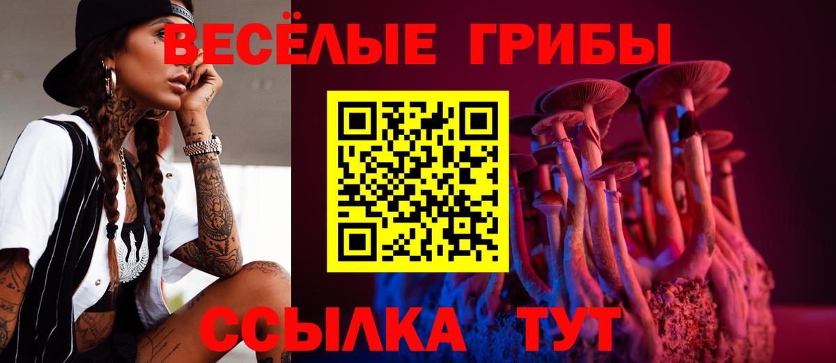 Рузаевка  Псилоцибиновые грибы ЛСД  Псилоцибиновые грибы мицелий  Вход с VPN 